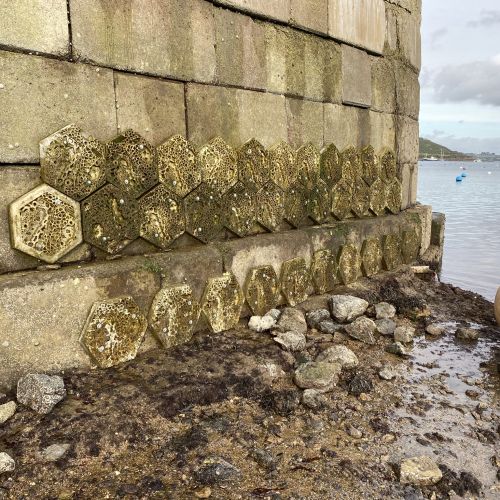 Tiles on 15th November 2023